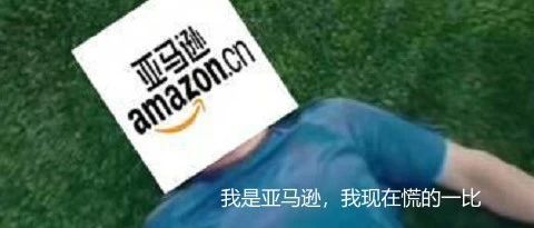 亚马逊卖家究竟该怎么维护自己的权益？成立官方亚马逊卖家协会呼声大涨！