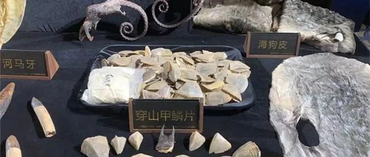 提个醒！进口前关注商品成分中是否含有濒危物种成分很重要