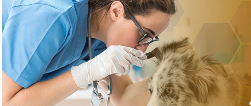 一季度利润涨了超过20倍！这个品类今年依然很牛