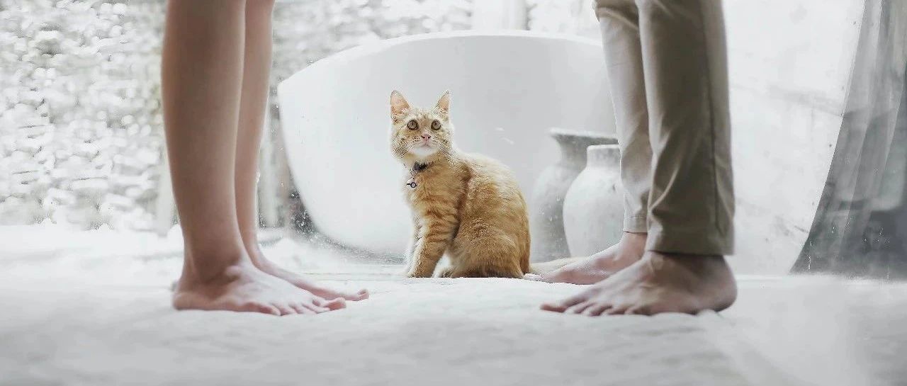 亚马逊自发货美国站稳定出单100单以上 上架错误代码8805解决方案