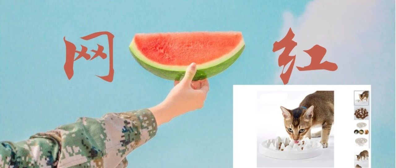 猫薄荷 &amp; 慢食盆，TikTok网红宠物用品选品的正确姿势