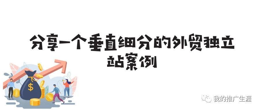 分享一个垂直细分的外贸独立站案例