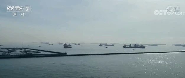 预警！江苏发现人感染H10N3禽流感，全球首报！湛江、厦门、青岛有外籍船员确诊！只要有印度船员，船要等28天才能靠？