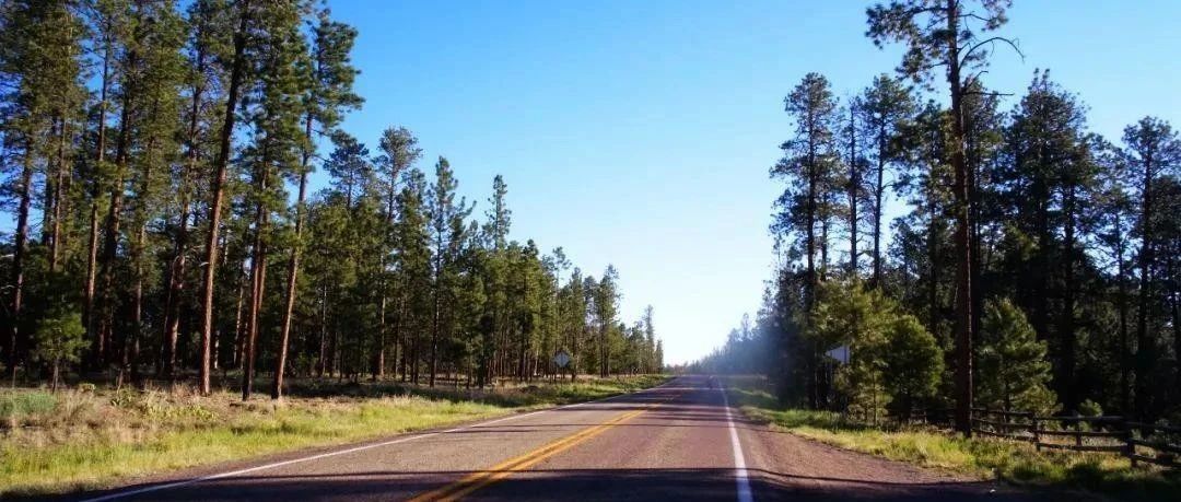 亚马逊卖家，都逃不过恶意投诉