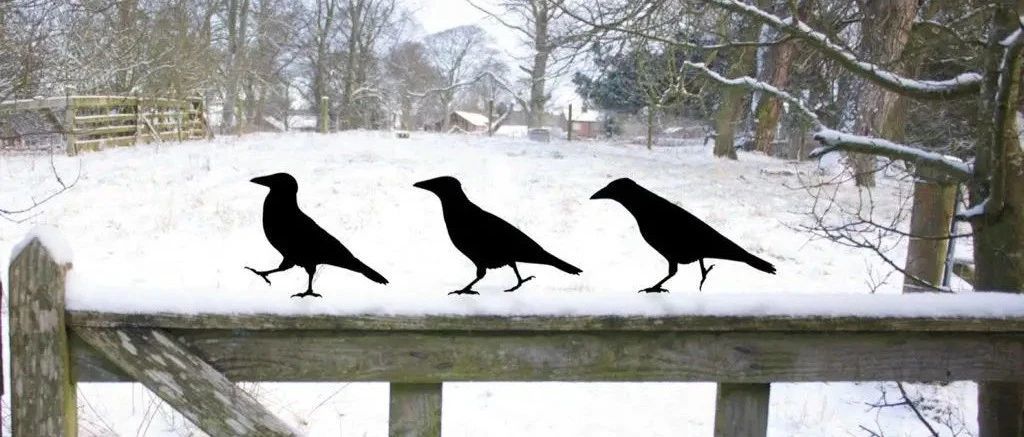 家居园艺装饰再添侵权品牌Jolyon Yates！