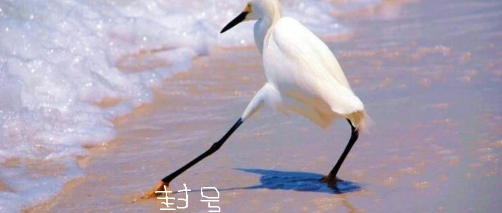 亚马逊卖家注意了：刷单、小卡片外，又一个封店风险即将暴雷！