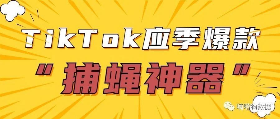 今年需求暴涨！TikTok“捕蝇神器”成应季爆款商品 | 嘀嗒狗