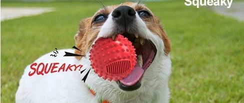 跨境电商防侵权预警：新款狗狗发声弹力玩具球在美国站的外观专利检索分析