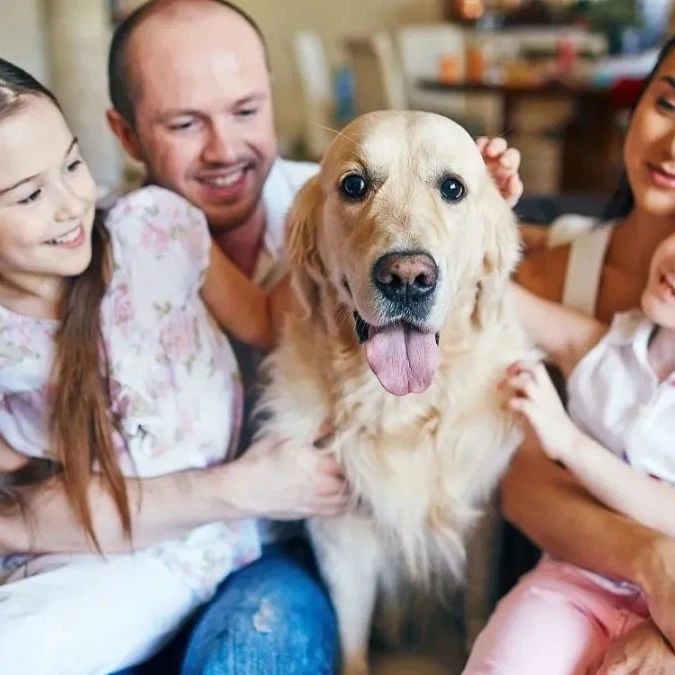 68%的美国人都有需求！亚马逊这一类目竟然这么“火”