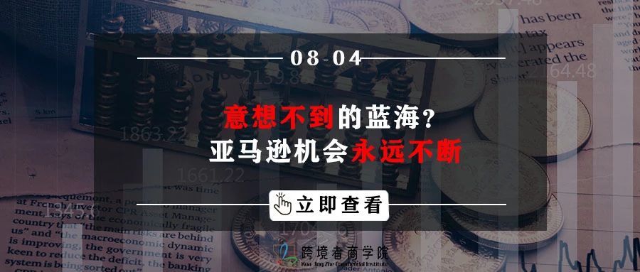 意想不到的蓝海？亚马逊机会永远不断