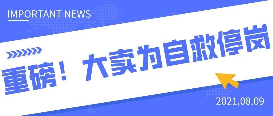 机遇与挑战并存：大卖停岗自救，给中小卖家的启示是...