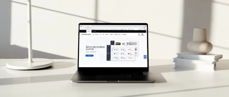 最高200万！深圳为何大力补贴独立站