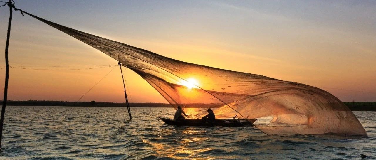 做了亚马逊 ，感觉当了一回妈妈