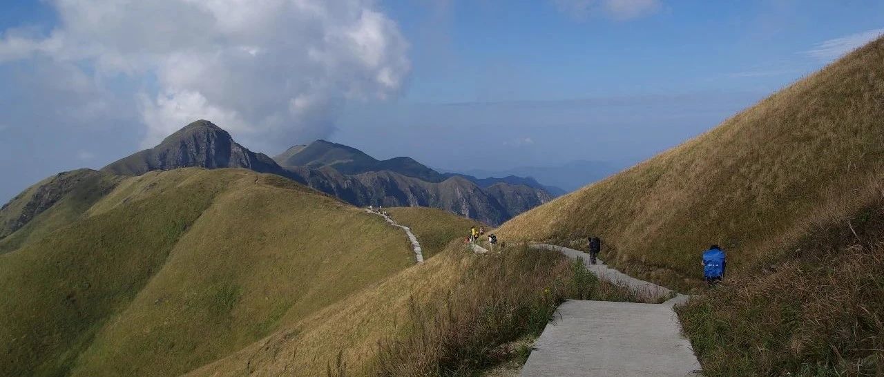 分仓，分仓，又是分仓！怎么应对