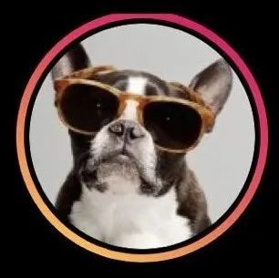 营收近4亿美金！这个超火的消费品牌要上市了