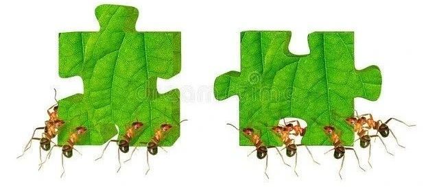 货都发不出去，今年旺季我该怎么办？