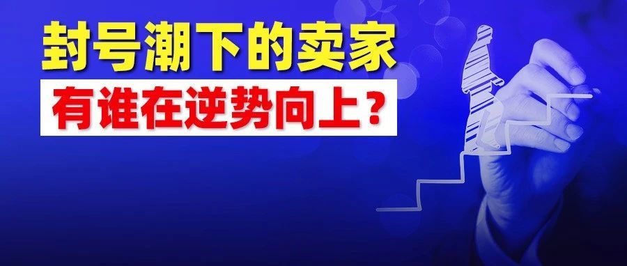 有的卖家亏了7.4亿！价格大战、封号潮下，这位卖家毛利却逆势上涨销售额也已破亿！厉害!...