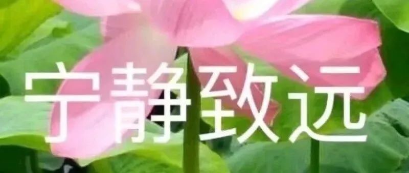 速卖通运营日记_第28天