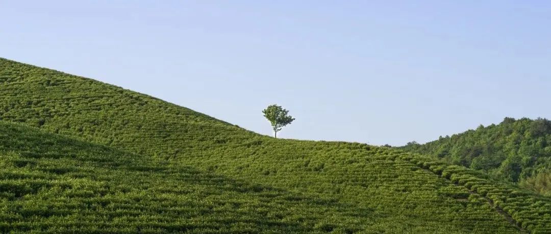 如何抢占亚马逊站内关联流量