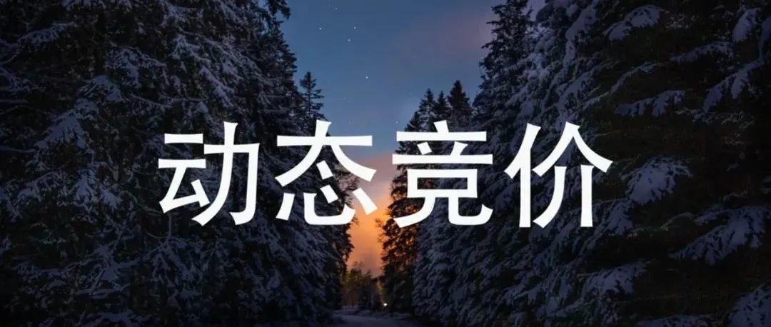 动态竞价在优化ACoS中的应用以及、广告中否定的选择技巧