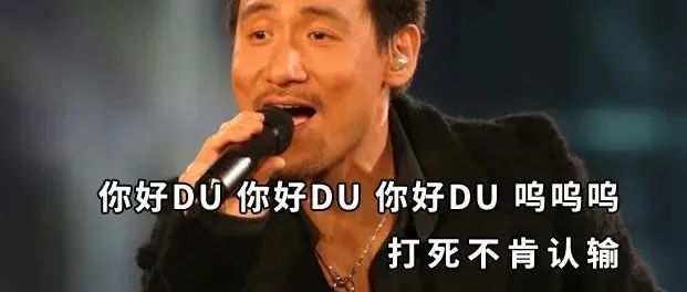 跨境电商朋友们 您今年DU了吗？