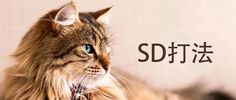 详解亚马逊SD广告的广告定位、竞价模式及投放策略