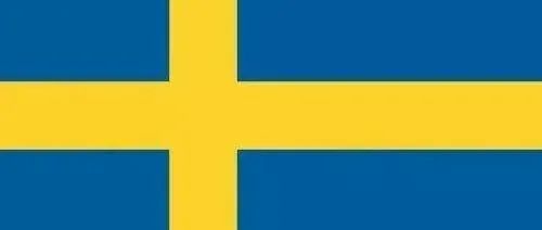 干货 | 瑞典VAT的注册申报流程
