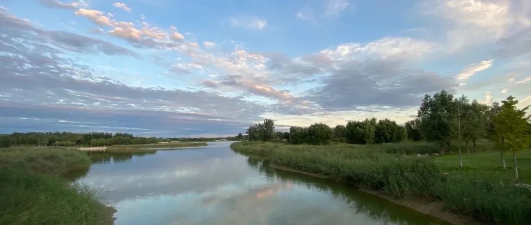 产品事件转化率对Google投放影响