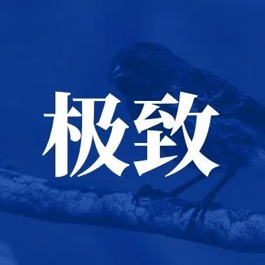 为什么要成为，极致践行者？