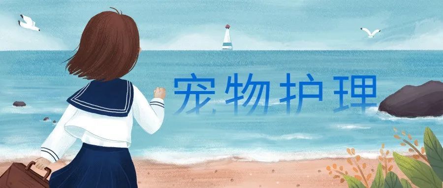 全球宠物用品市场前 12 名供应商（差点入榜）