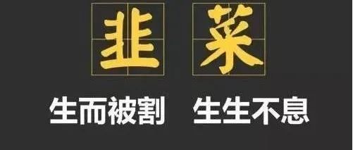 拒绝做韭菜，报名培训前先去谷歌翻译看看