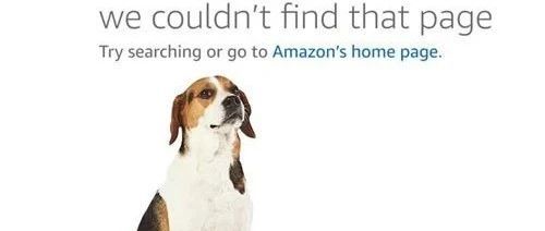 因为这些敏感词，亚马逊链接变狗，大批卖家都中招过....