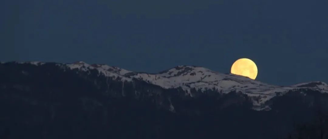 亚马逊新人卖家必须知道，不要入错行！