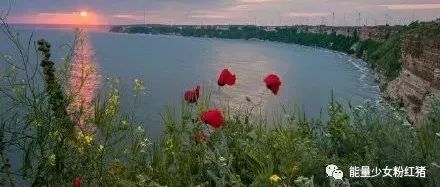 亚马逊产品安全投诉申诉以及最新安全调查问题提示