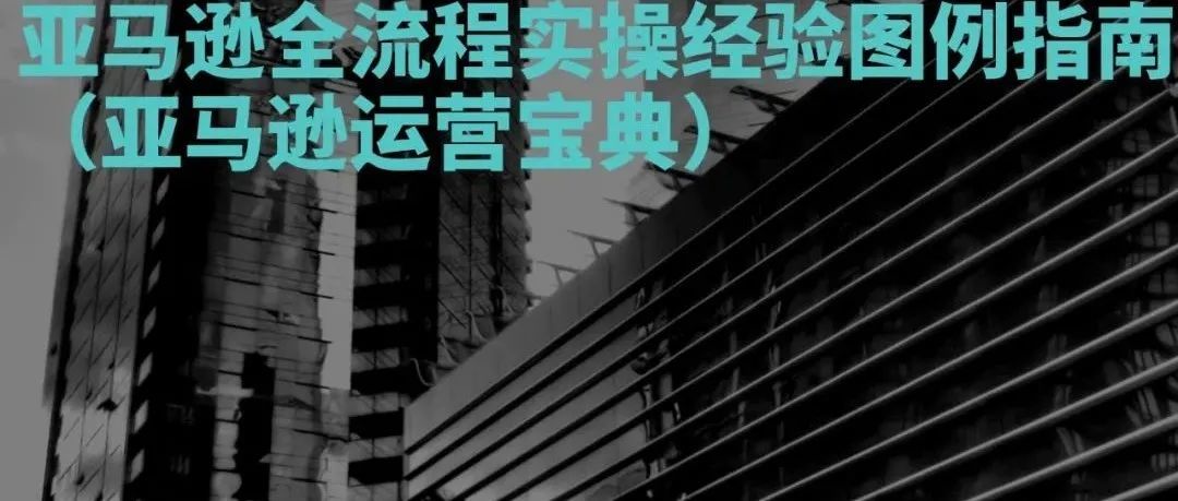 教科书式教你做亚马逊：亚马逊全流程实操经验图例指南（亚马逊运营宝典）