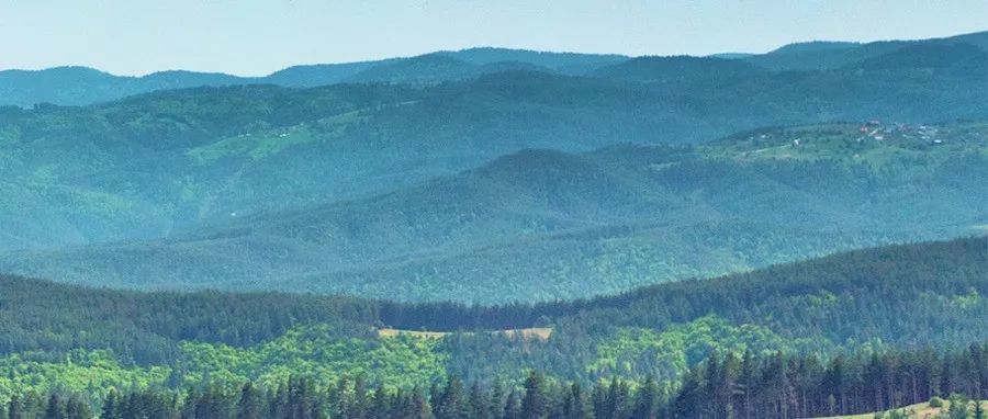 平心而论：依赖站外推广来出单回本的跨境卖家有多可怜？