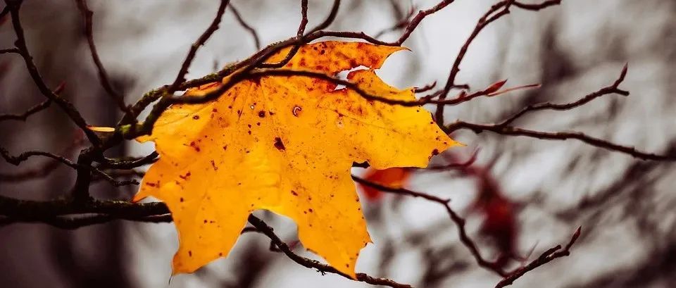 今年是做亚马逊最难的一年，有些店活着，但它已经死了……