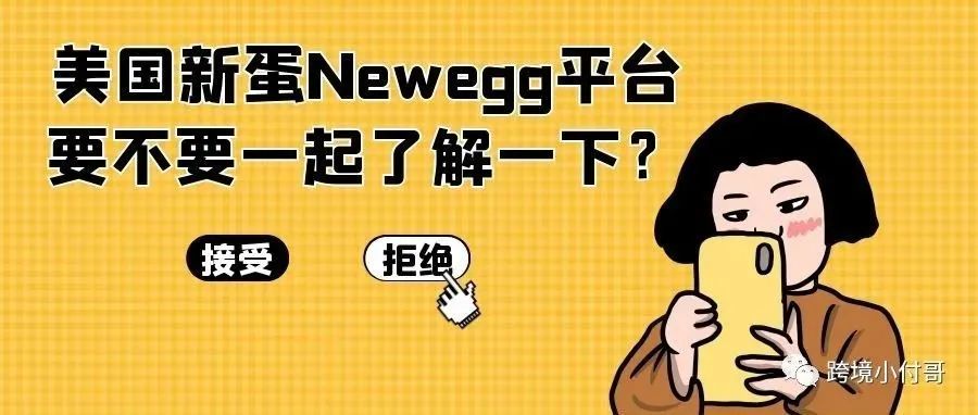 美国的Newegg新蛋是一个什么样的平台？我们国内卖家能不能做？Newegg的开店条件是什么？