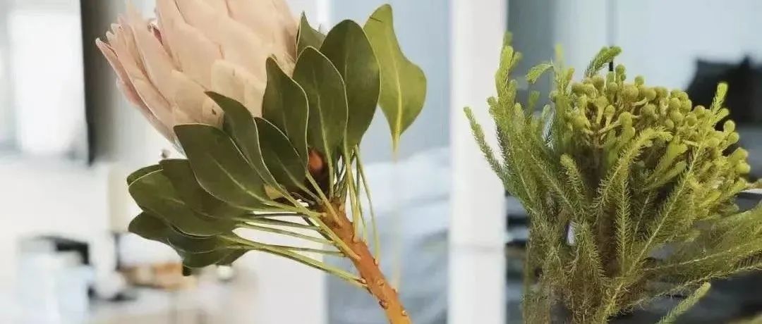 亚马逊攻防战的矛与盾