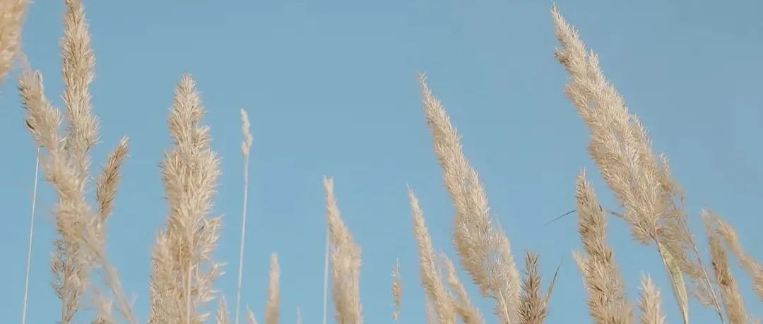 站外推广这样操作才会如虎添翼