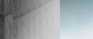 俞敏洪直播带货