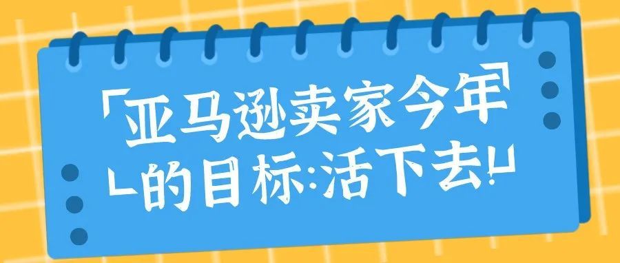 亚马逊卖家今年的目标：活下去！