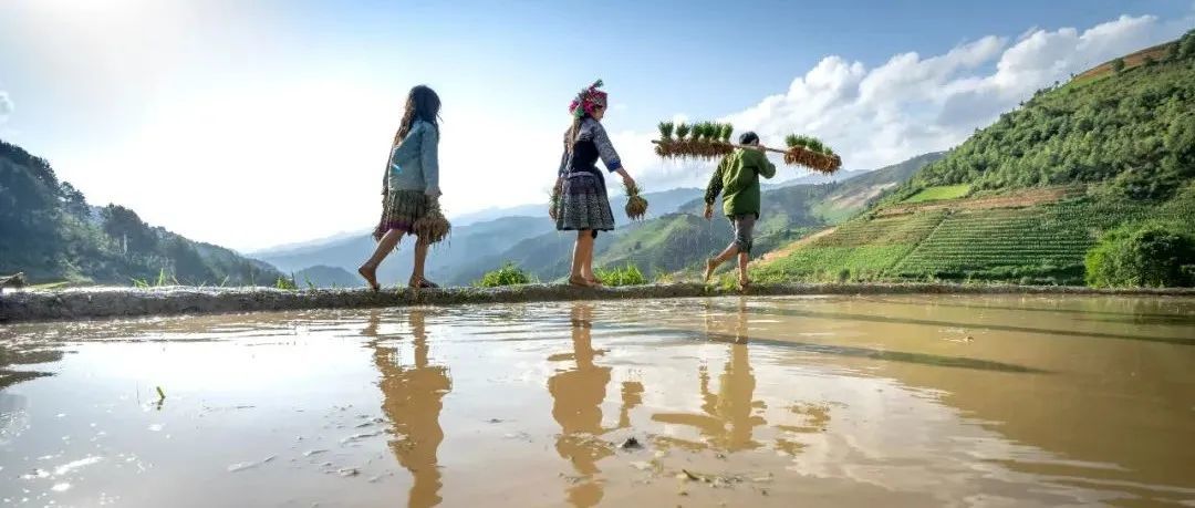 一次次的断货一次次的重生，每一次重生都是一次升阶