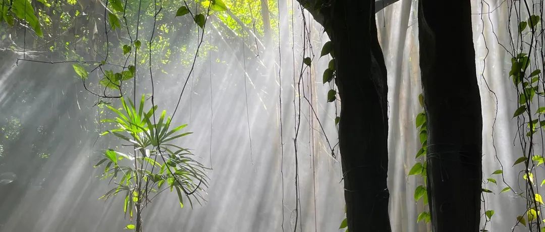 猜想下5年后中国的出口跨境电商会变成怎样？