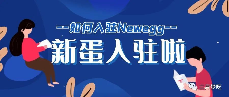 2021年的美国新蛋（Newegg）现状如何？如何扩张这块的平台业务？