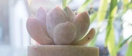 账户登录不进去详细拆解第一弹---物流问题引发