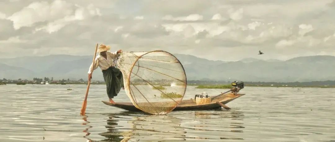 突然觉得广告投放有点像秀女进宫选妃.