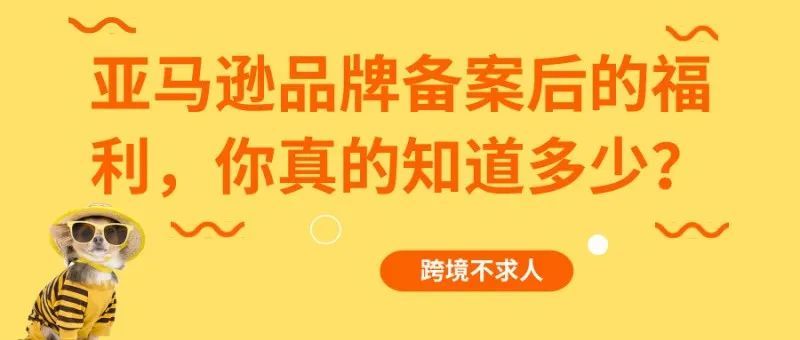 亚马逊品牌备案后的福利，你真的知道多少？