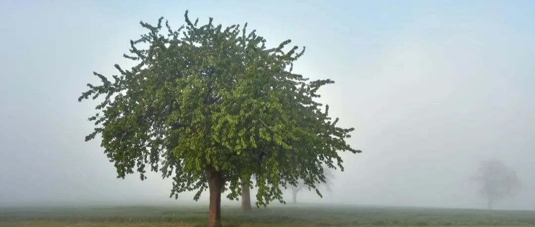 爆款产品突然就卖不动了，该如何应对？