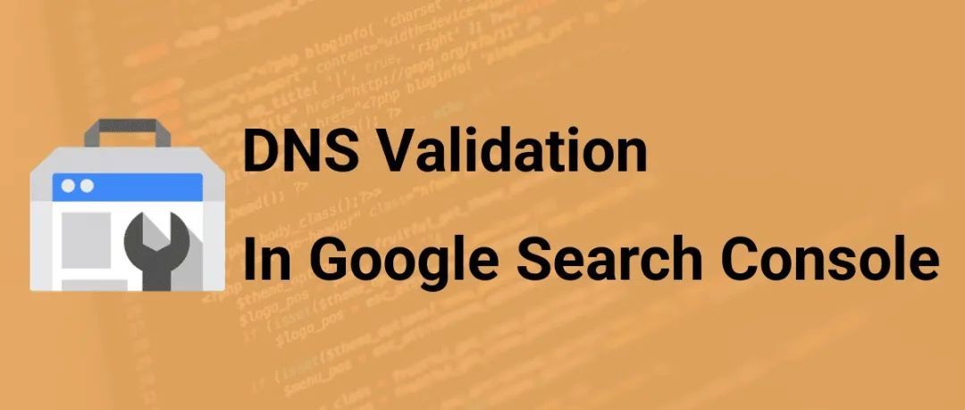 如何进行谷歌站长DNS验证？